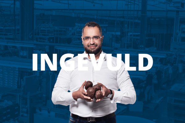 INGEVULD 61